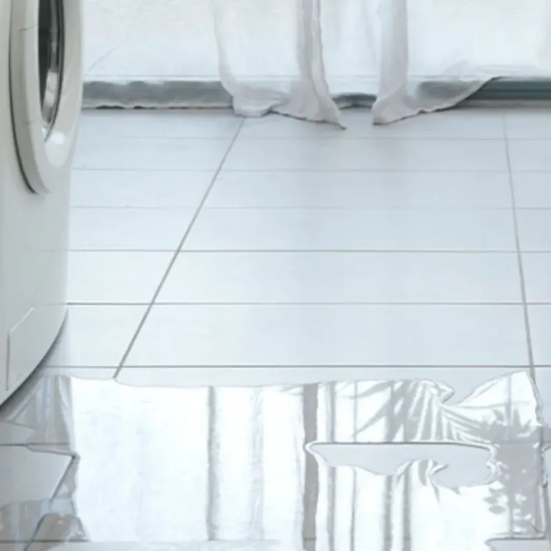 Appliance Leak Cleanup in Lake Park, NC