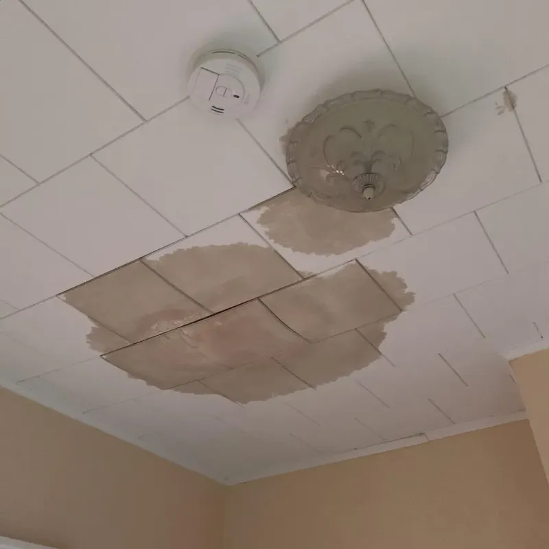 Ceiling Water Damage Repair in Lake Park, NC