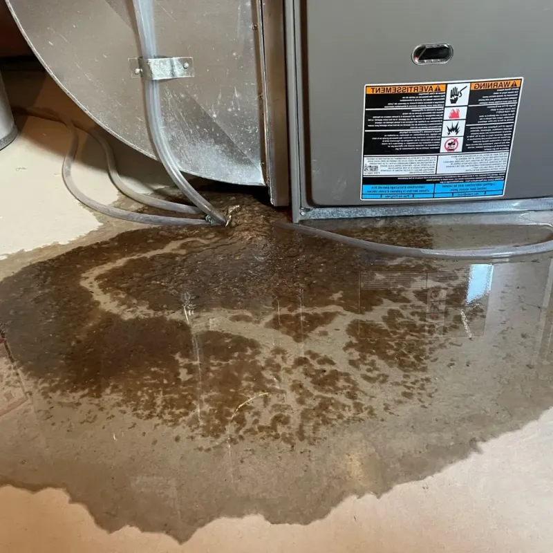 Pipe Burst and Leak Restoration in Lake Park, NC