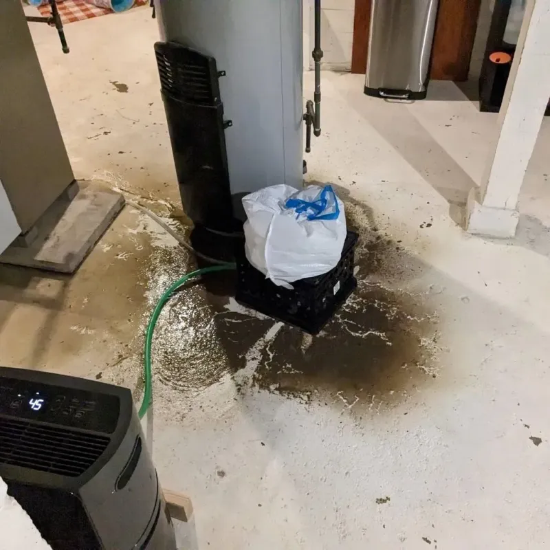 Sewage Backup Cleanup Service in Lake Park, NC